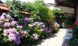 bugarska-bansko-zimovanje-skijanje-hotel-grami (9)