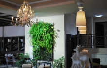 zara-hotel-bansko-ski-centar-zima-skijanje (10)