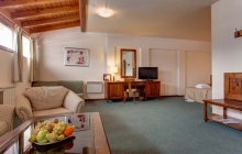 bugarska-bansko-zmovanje-hotel-perun (15)